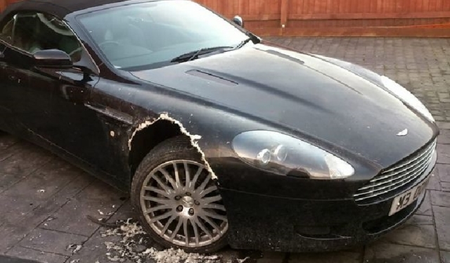 Dog chews Hole through Wheel Arch of Owner's  Aston Martin DB9 Volante