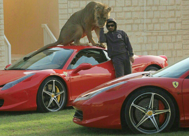 Meet Humaid, He Owns Many Supercars and Many Big Cats!