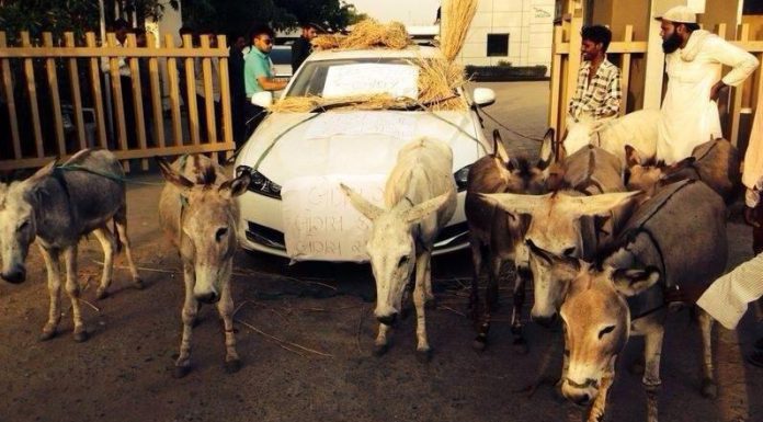 Indian Jaguar XF Owners Insists Donkeys are Better!