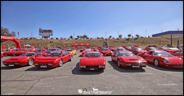 Gallery: SEFAC Ferrari Track Day in South Africa 