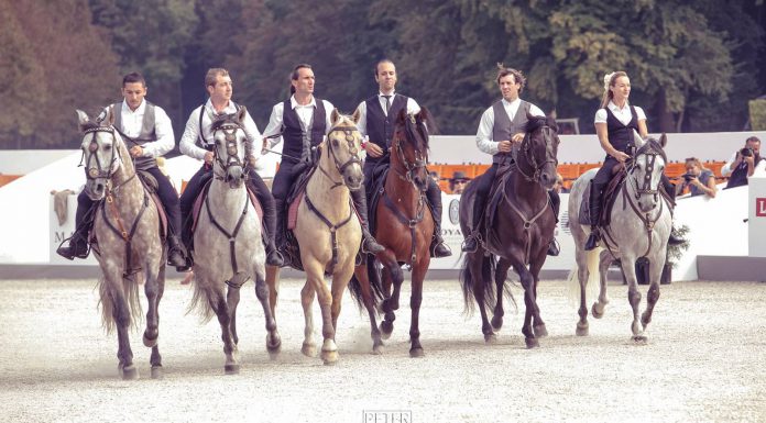 Chantilly equestrian display 2014