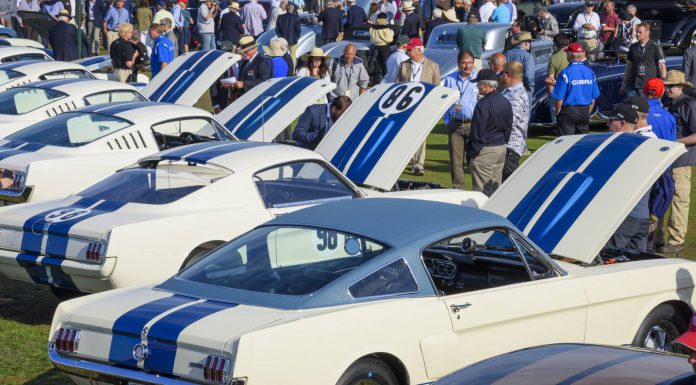 Mustangs at 2015 Pebble Beach Concours d'Elegance