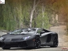 Lamborghini lp700 Aventador Black Matte