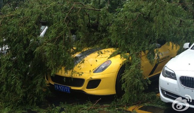 Ferrari 599 GTO Meets Unfriendly Tree in China and Losses