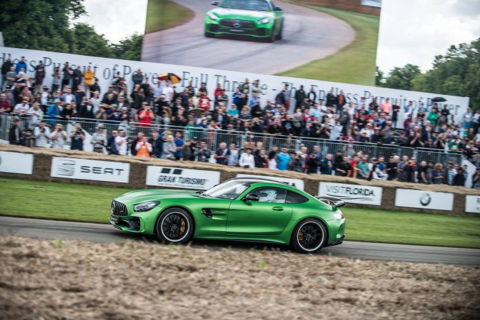 Mercedes-AMG GT R (8)