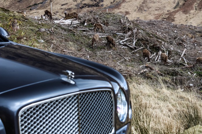 Bentley Mulsanne in the Highlands