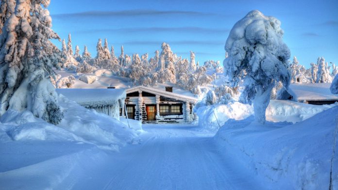 Scandinavian Winter