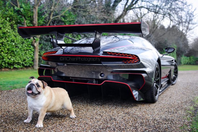 Aston Martin Vulcan  (16)